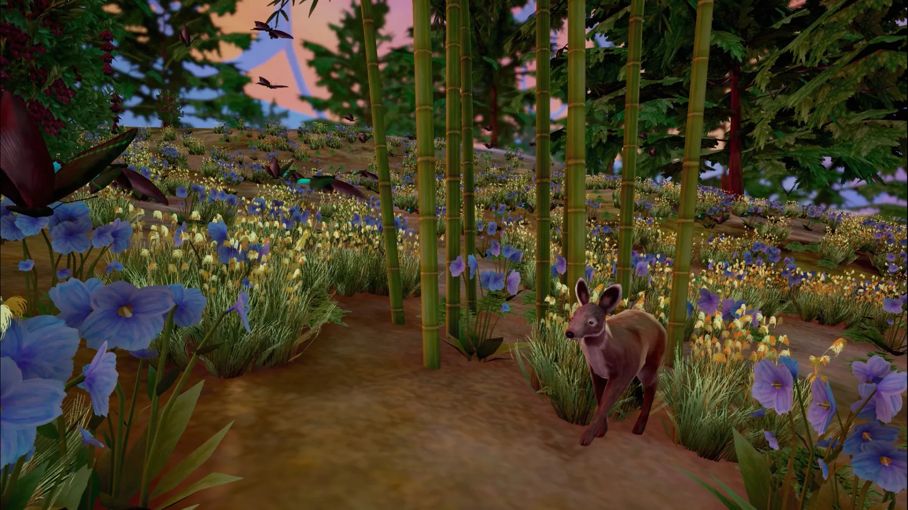Key art · the Himalayan biome